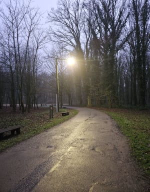 Terril du bois de Saint Pierre - Just - 4