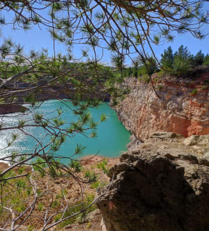 Rondleiding door de blauwe lagune en het prachtige struikgewas - Maussane-les-Alpilles - 22