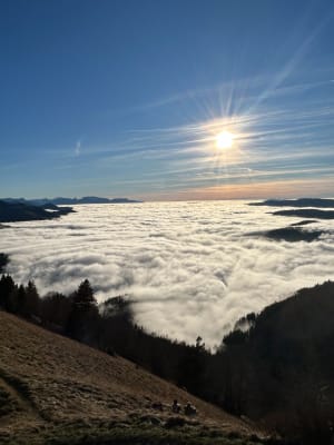 Balade du Mont Forchat depuis Très le Mont - Lullin - 19