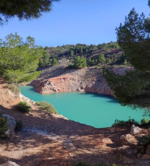 Rondleiding door de blauwe lagune en het prachtige struikgewas - Maussane-les-Alpilles - 23