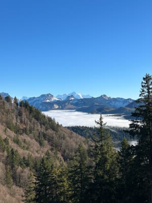 Balade du Mont Forchat depuis Très le Mont - Lullin - 20
