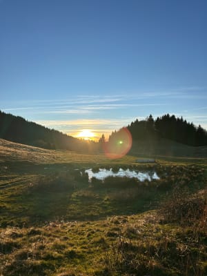 Balade du Mont Forchat depuis Très le Mont - Lullin - 22