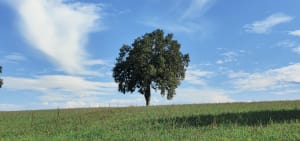 Balade au Lac du Gabas - Gardères - 25