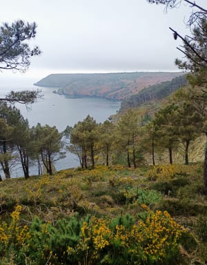 Kaap van de Geitenlus vanuit Saint-Hernot - Crozon - 68