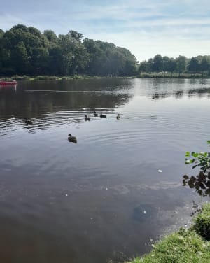Randonnée du dimanche matin à Châtelaudren - Elise - 4