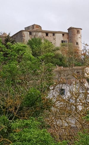 Belles vues des Pyrénées autour de Villarzel du Razès - Villarzel-du-Razès - 6