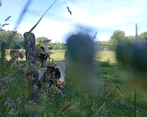 Balade des Avenières et escapade aux marais - Les Avenières Veyrins-Thuellin - 8