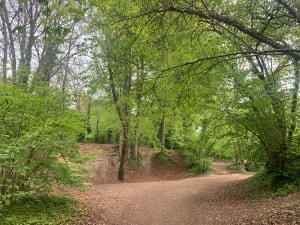 Au coeur d'un marais protégé - Bellengreville - 8
