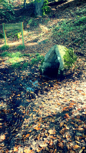 Sentier des sources - Montereau - 13