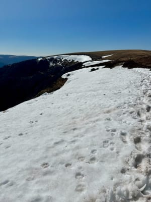 Sneeuwveldpad - La Bresse, Saint-Dié-des-Vosges - 23