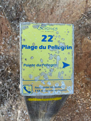 Sentier du littoral de La Londe-les-Maures - La Londe-les-Maures - 9