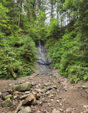 Saut de la Bourrique et Tête de Mérelle à Géradmer - Gérardmer - 22