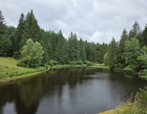 Saut de la Bourrique et Tête de Mérelle à Géradmer - Gérardmer - 23