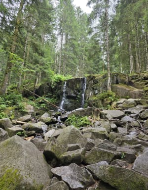 Saut de la Bourrique et Tête de Mérelle à Géradmer - Gérardmer - 25