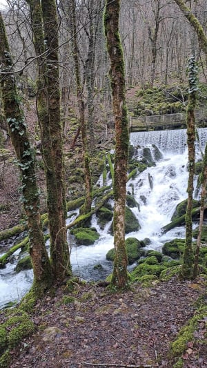 Wandel naar de Tufs-waterval en de kleine Cuisance-bron - Les Planches-prés-Arbois - 60