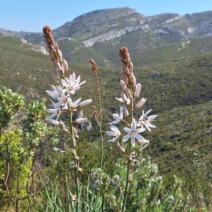Virée dans le quartier Saint-Marcel et source naturelle - Marseille - 6