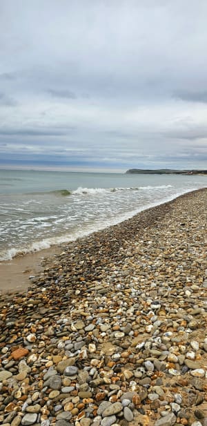 Baie de Wissant et paradis pour les oiseaux - Wissant - 14