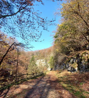 Etre saisi par les gorges de la Saine et de la Langouette - Les Planches-en-Montagne - 32