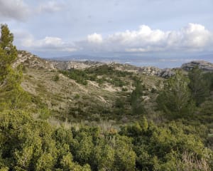 Calanques-lus naar Erevine en een uitje naar de kust vanuit Niolon - Niolon, Le Rove - 21
