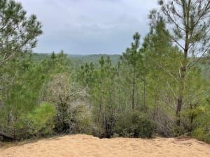 Entre mer et forêt à Saint-Hilaire-de-Riez - Saint-Hilaire-de-Riez - 20