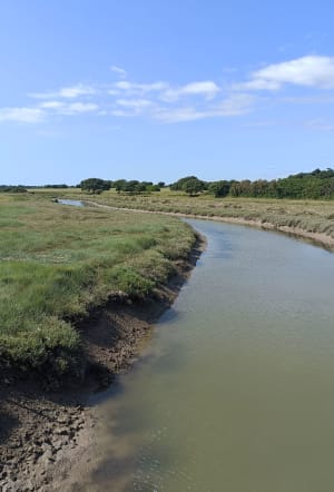 Bourgenay, port, plage du Veillon, marais - Eloïse - 11