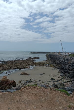 Bourgenay, port, plage du Veillon, marais - Eloïse - 14
