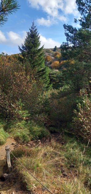 Uitje naar Puy en de grotten van Clierzou - Orcines - 66