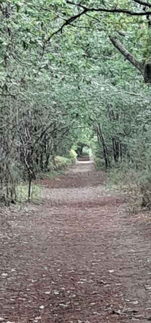 Entre vignes et châteaux autour de Macau - Ludon-Médoc - 3