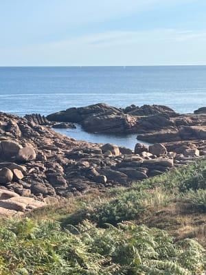Perros et Côte de granite rose - Perros-Guirec - 114