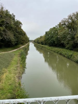 Balade dans les environs de Cuffy et le canal - Delphine - 4