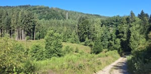 Le tour des cascades de Tendon - Le Tholy - 21