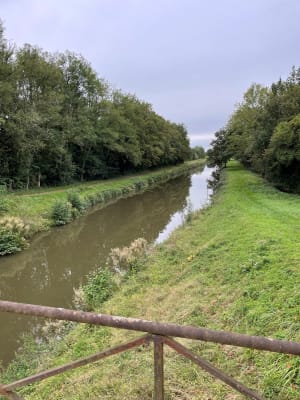 Balade dans les environs de Cuffy et le canal - Delphine - 6