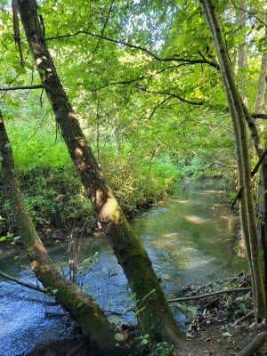 Etang de Vallière et richesse de ses alentours - Santeuil - 4