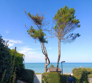 Balade Hautot Varengeville Pourville - Hautot-sur-Mer - 21