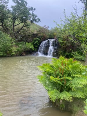 De Uzkaingo Erreka-waterval van Ascain - Ascain - 27