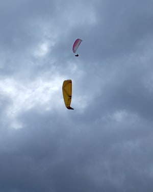 Tête du Tourneau au Col du Noyer - Le Dévoluy - 17