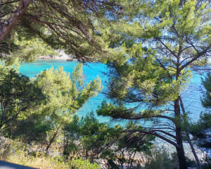 Incontournable Bestouan et charme des Calanques de Port-Miou - Cassis - 5