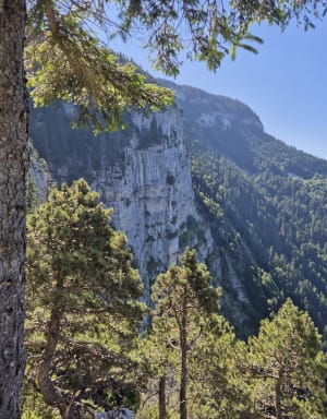 Belvédère du Pas du Roc - Fillière - 17
