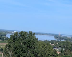 Boucle de Montalon et escapade entre vignes et Dordogne - Saint-André-de-Cubzac - 11
