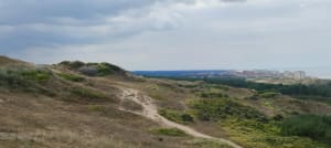 D'Equihen à Hardelot. Entre forêt, dunes et plage. - Neufchâtel-Hardelot - 5