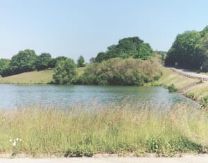 Lac de la Cantache, boucle des ardoisines - Champeaux - 2