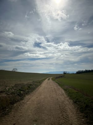 Dans les Monts du Lyonnais, par Grand Mont, depuis Riverie - Riverie - 10