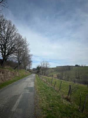 Dans les Monts du Lyonnais, par Grand Mont, depuis Riverie - Riverie - 12