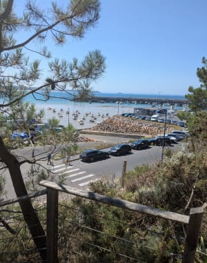 Cap d'Erquy, een zeldzame en adembenemende plek - Erquy - 21