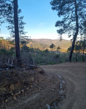 Par Gagnières à Bessèges - Bessèges - 8