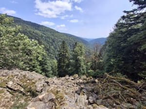 Lake Lauch via de watervallen - Linthal - 10