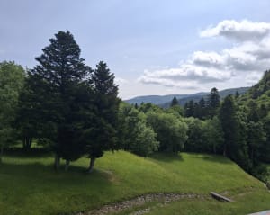Lake Lauch via de watervallen - Linthal - 14