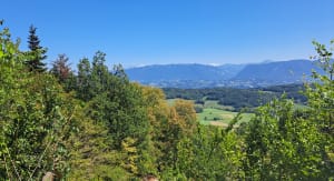 Balade par les falaises de Cessens - Séverine - 10