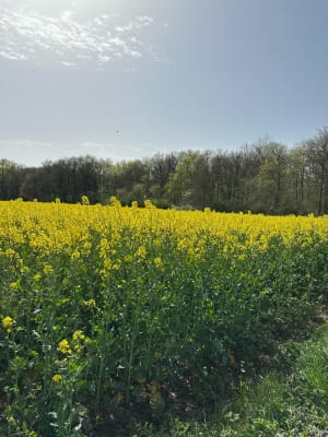 Balade entre vignes et bois à Parçay-Meslay - Parçay-Meslay - 7