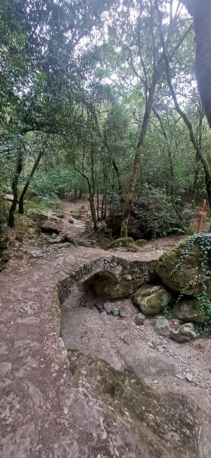 Fraîcheur dans le parc de la Brague - Biot - 13